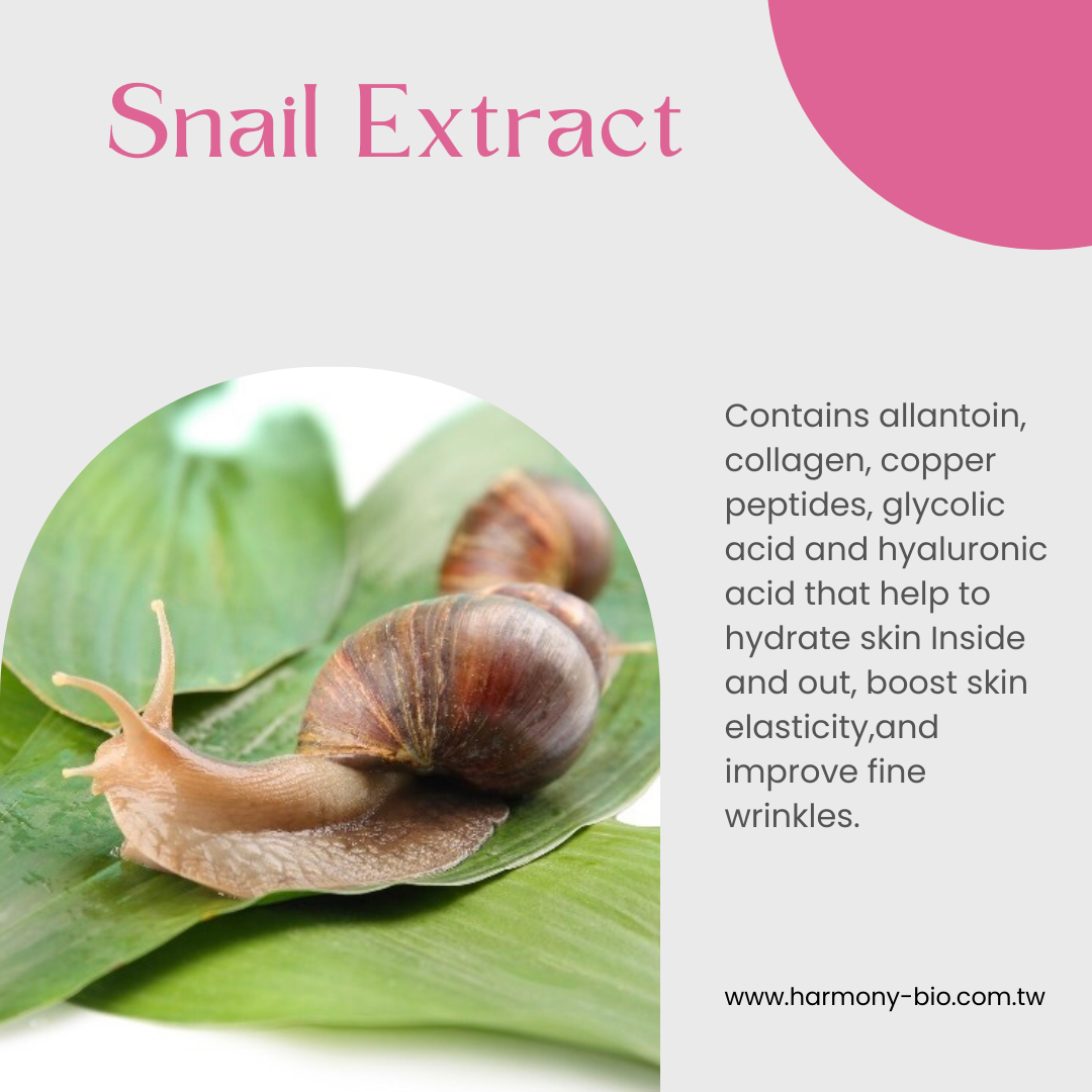 Snail Extract