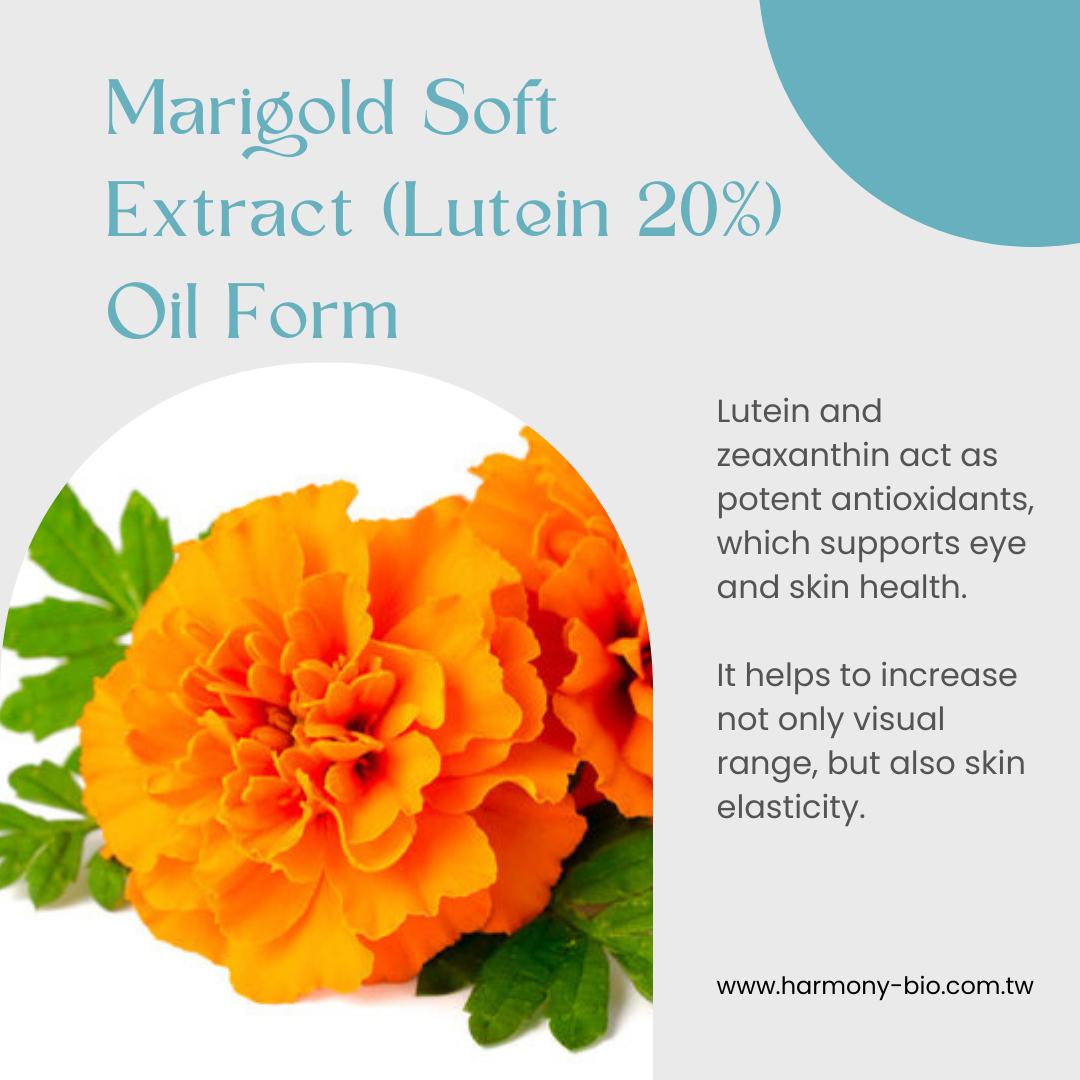 Marigold Soft Extract (Lutein 20%) Oil Form