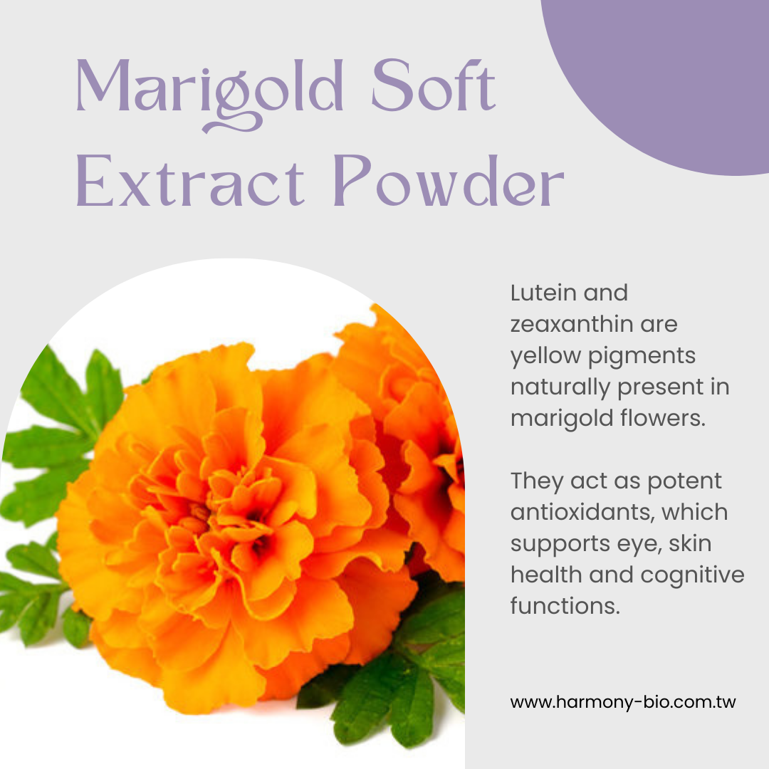 Marigold Soft Extract Powder