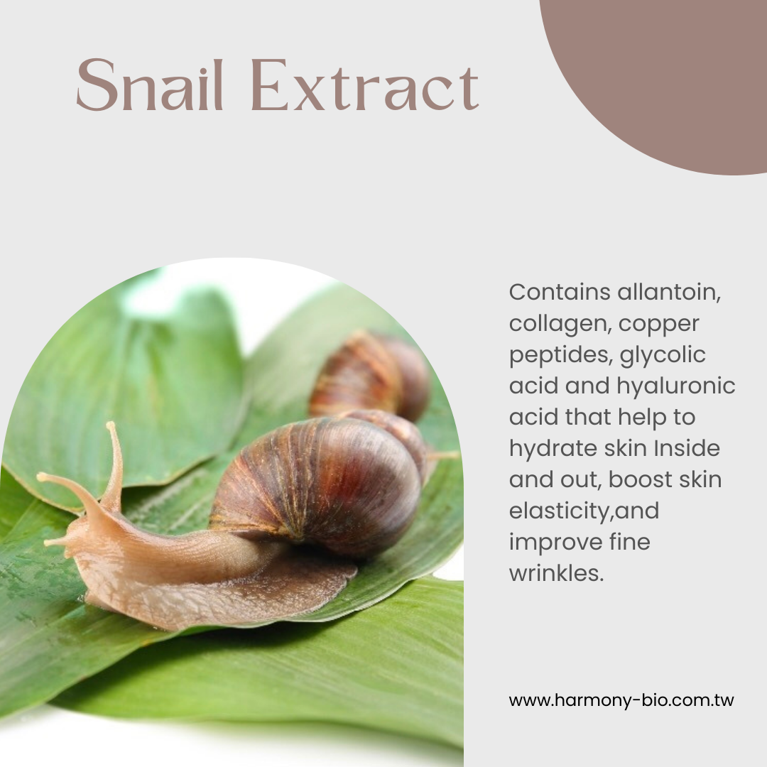 Snail Extract 