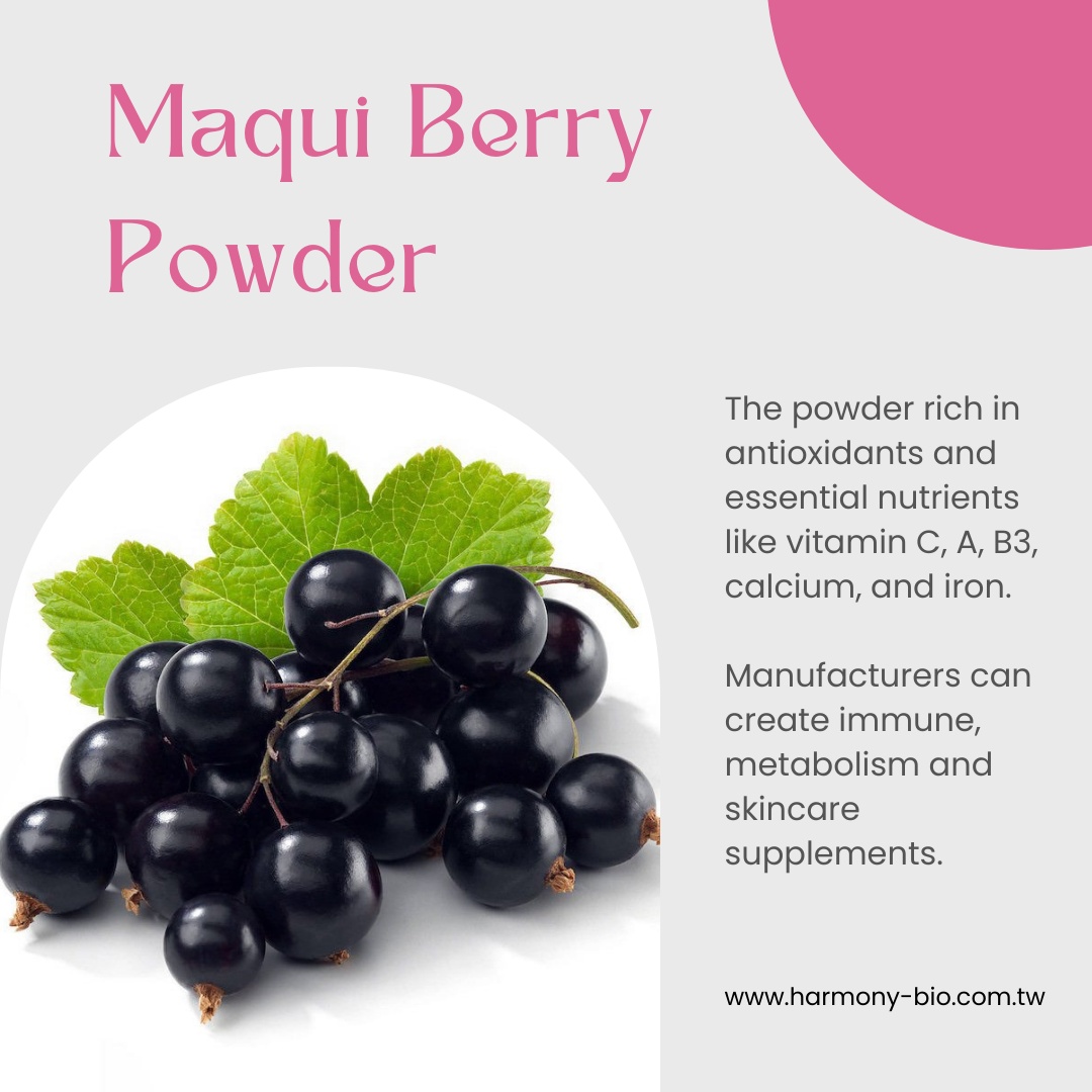 Maqui Berry Powder