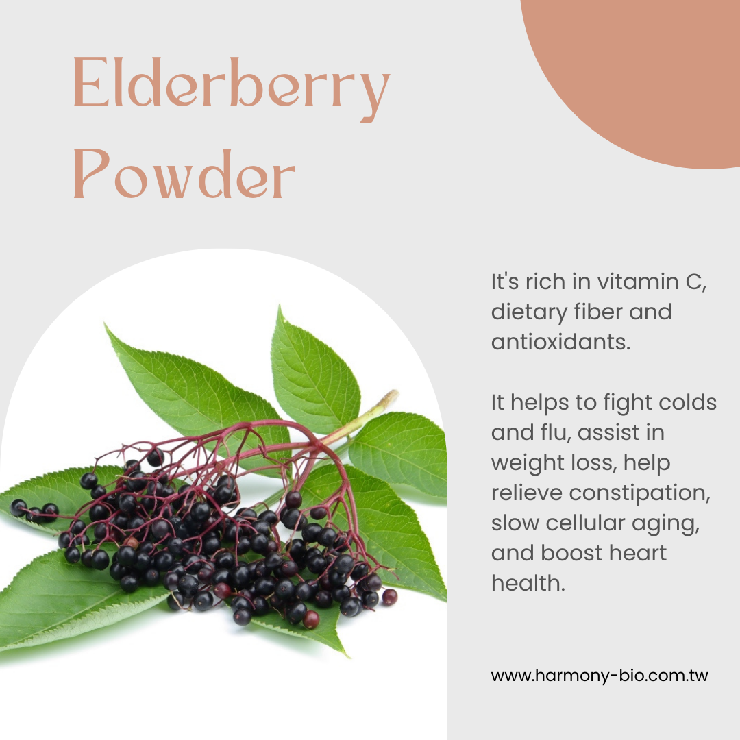 Elderberry Powder